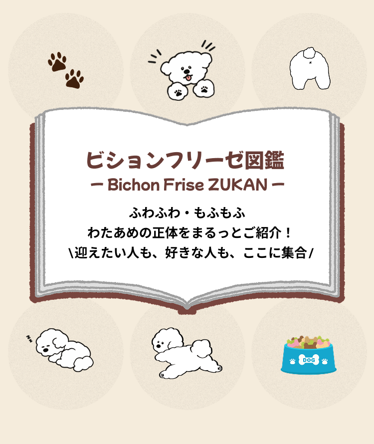 ビションフリーゼ図鑑 — ふわふわ・もふもふ わたあめの正体をまるっとご紹介！